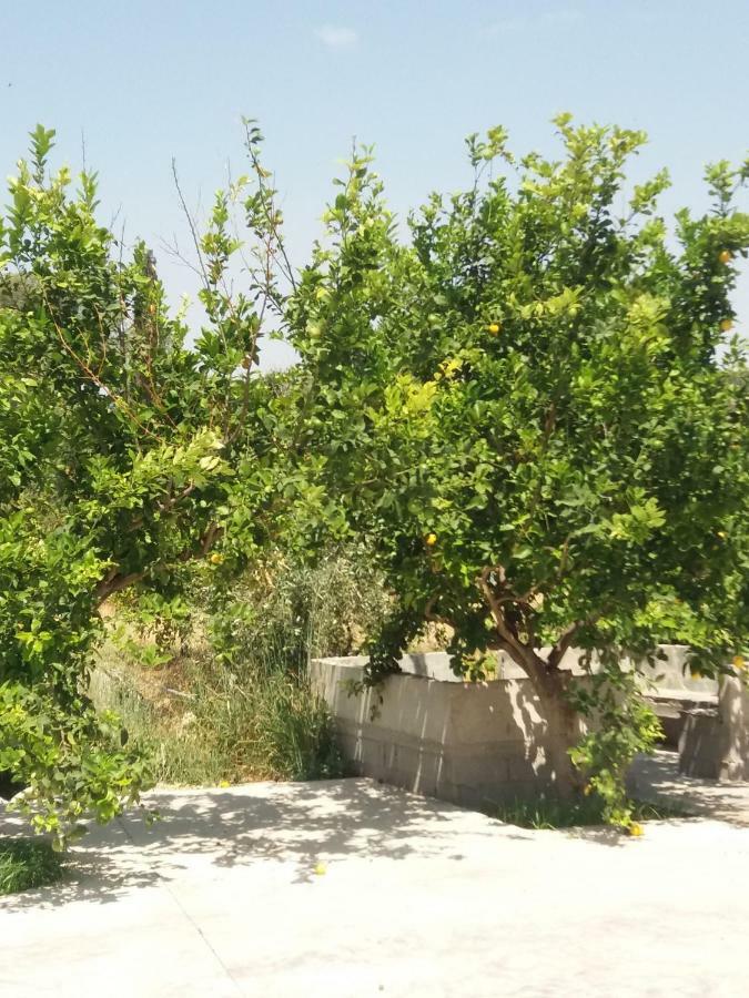 Vrondos Apartments Faneromeni  Buitenkant foto